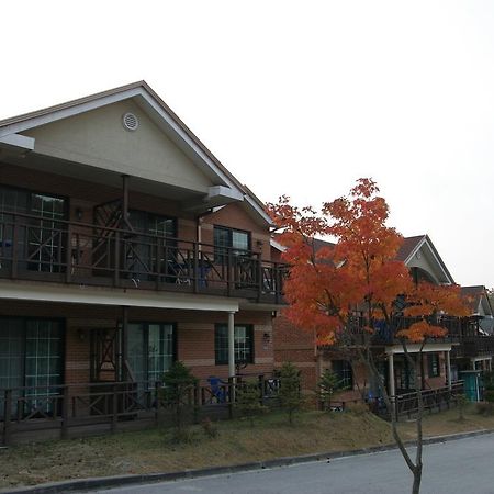 Hwangto Green Village Pension Йонін Екстер'єр фото