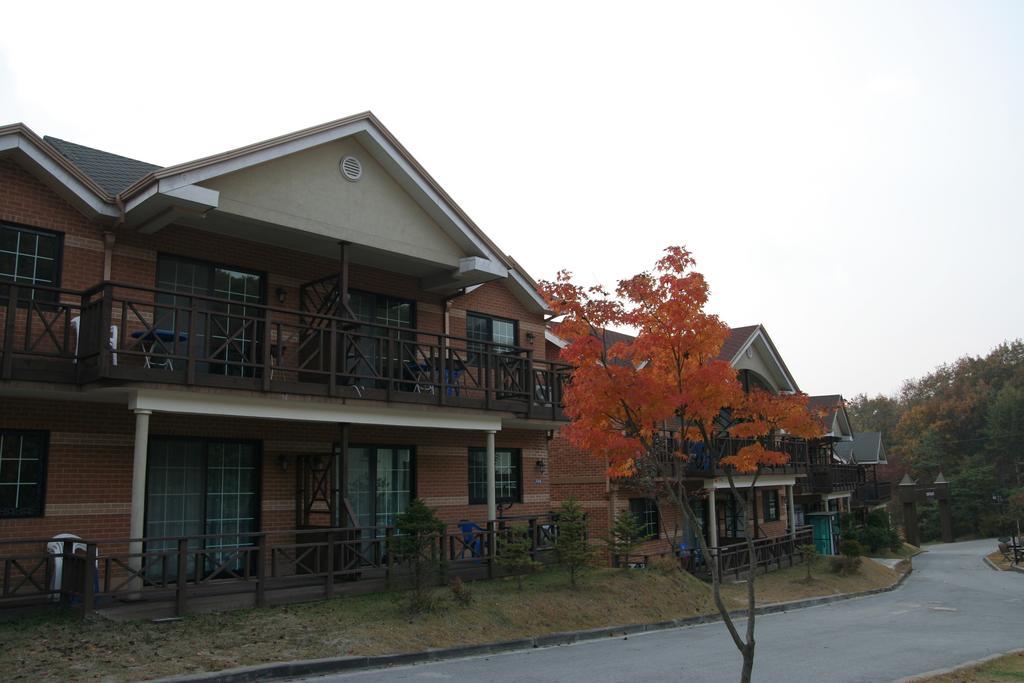 Hwangto Green Village Pension Йонін Екстер'єр фото