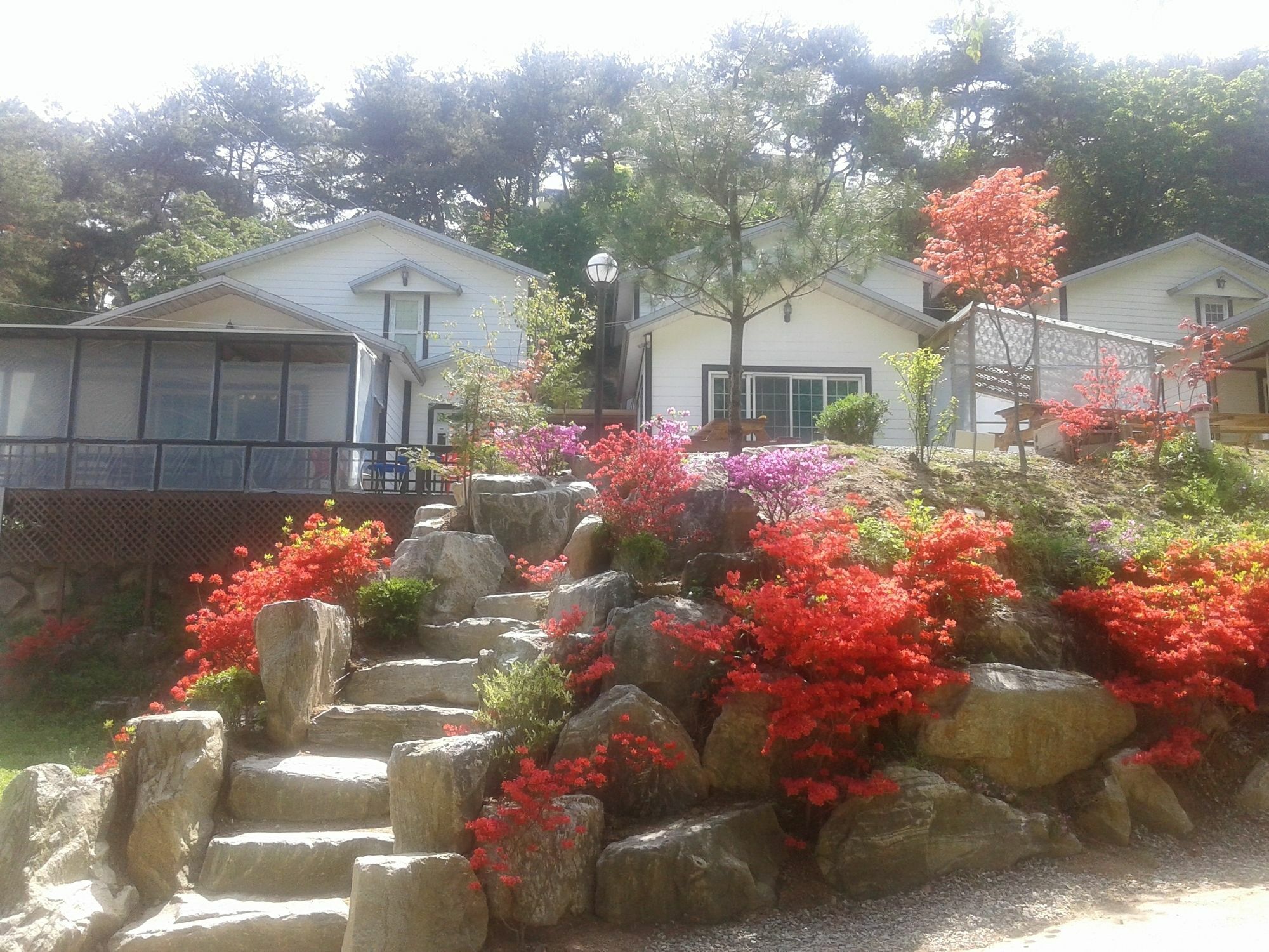 Hwangto Green Village Pension Йонін Екстер'єр фото